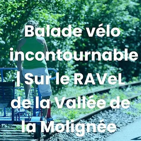 Au 14 - Au Calme Avec Jardin , Proche De Dinant Vakantiehuis *