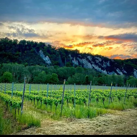 Feriehus Au 14 - Au Calme Avec Jardin , Proche De Dinant